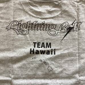 【新品未使用】 LIGHTNING BOLT ライトニングボルト 半袖Tシャツ L 定番 グレー SURF TEAM Hawaii イナズマ カジュアル ストリート サーフの画像8