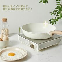 CAROTE 20cm シリーズ アイスクリーム アイボリー 源対応 IH対応 20cm フライパン カローテ 75_画像6