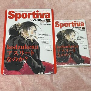 ハイキュー　ショーセツバン　sportiva ビジュアルボード　孤爪研磨　アニメイト　7巻　Ⅶ 特典　チケット風しおり　小説