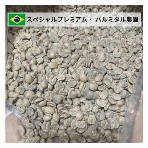 【24時間以内に発送】スペシャルプレミアム【生豆】【1 Kg】【送料無料】