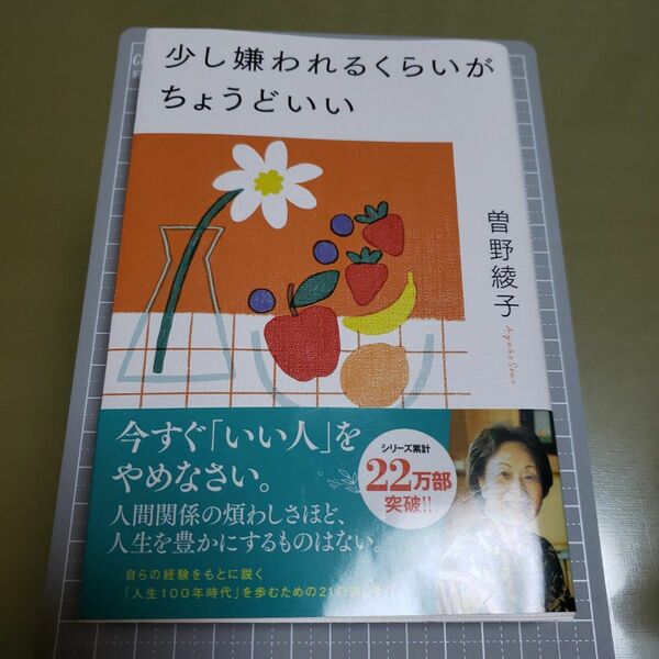 少し嫌われるくらいがちょうどいい 曽野綾子／著