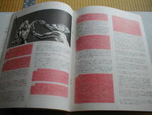 Dungeons & Dragons ベーシックセット用モジュール ブリザードパス 新和 1983年_画像5