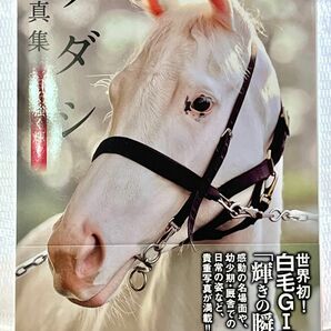 お買い得！ソダシ第1弾写真集　白く強く輝く　新品未読品