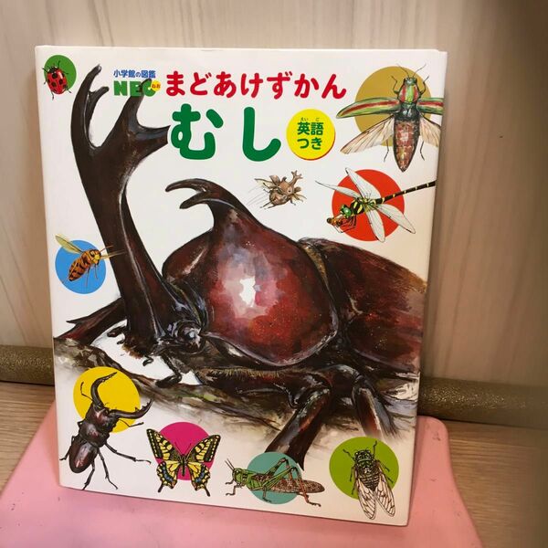 むし　英語つき （小学館の図鑑ＮＥＯ　まどあけずかん） 丸山宗利／監修