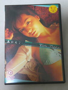 Y479 中古DVD 森ひろこ Cutie Pappy イメージDVD