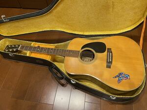 Elite by Takamine TW-50 アコースティックギター 