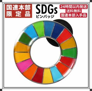 【大セール】SDGs ピンバッチ 国連本部正規品　1点