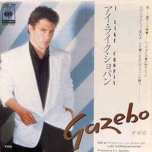 匿名・送料無料! ガゼボ/Gazebo EPレコード 「アイ・ライク・ショパン/I Like Chopin」 「雨音はショパンの調べ」