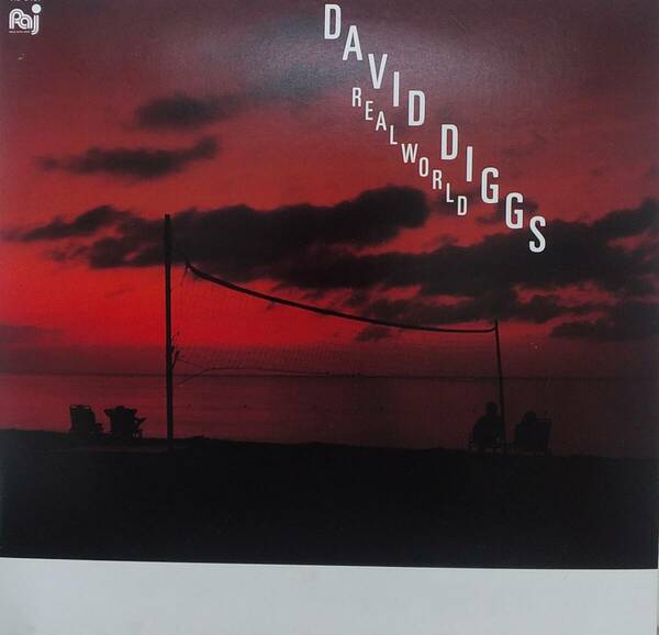 匿名・送料無料！　デヴィッド・ディッグス/David Diggs　LP　「リアル・ワールド/Realworld」
