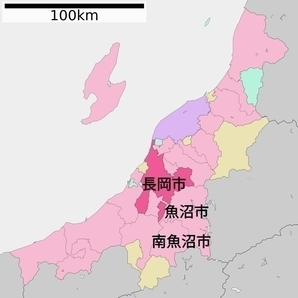 ②【大出血SALE!】令和5年度新米新潟県長岡産コシヒカリ玄米20kg【精米無料】の画像3