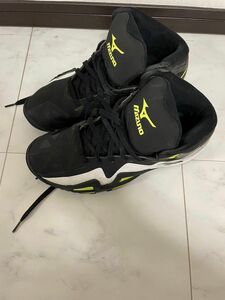 [MIZUNO] メンズ WAVE REAL SLASHERバスケットシューズ27cm