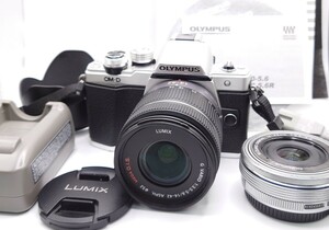 【N-100】 OLYMPUS OM-D E-M10 MarkⅡ ミラーレス 一眼レフ カメラ シルバー レンズ　LUMIX G.VARIO 1:3.5-5.6/14-42 通電OK 