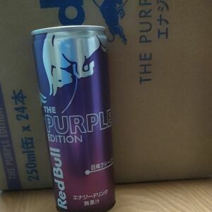 レッドブルエナジードリンク250ml 缶×24本訳あり