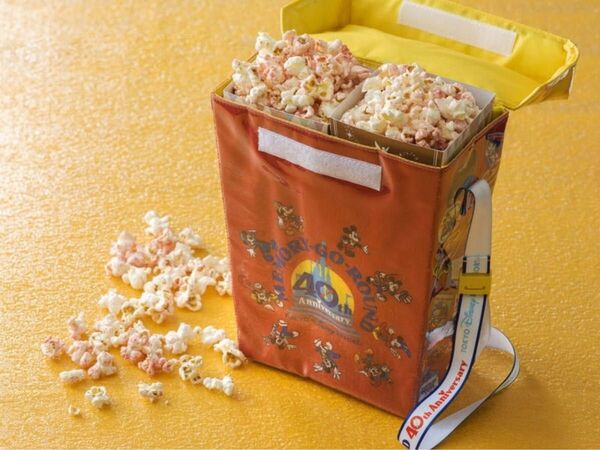 ディズニーランド メモリーゴーラウンド ポップコーンケース