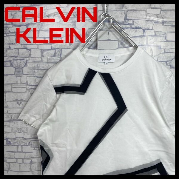 CALVIN KLEIN カルバンクライン　メッシュ　ワンポイントロゴ　半袖Tシャツ　Mサイズ　白