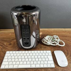 [ superior article ]Apple Mac Pro Late 2013/3.5ghz 6 core /64GB/SSD2TB/FirePro D500*2/office2019/Windows11