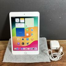 Apple iPad mini 第5世代/256GB/SIMフリー/Wi-Fi+Cellular/シルバー_画像1