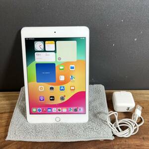 Apple iPad mini 第5世代/256GB/SIMフリー/Wi-Fi+Cellular/シルバー