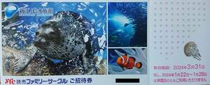 即決☆新江ノ島水族館　ご招待券 ２枚セット②☆