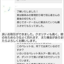 管釣り エリアトラウト スティックルアー ブランク 全長約6cm 10本セット 簡単で楽しくオリカラに出来ます。_画像7