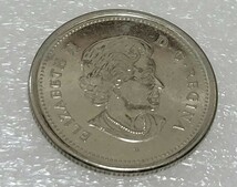 2004年 カナダ 記念硬貨 エリザベス2世 25セント 数量限定 レッドポピー　25CENTS 美品　当時物　ヴィンテージ　レア_画像7