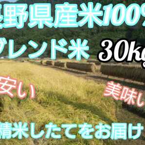 【白米】長野県産ブレンド米30キロ（10キロ×3袋）長野産米100％ つきたてをお届けします！！の画像1