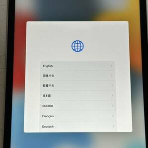 iPad mini 4世代 128GB セルラーモデル スペースグレー sku04の画像1