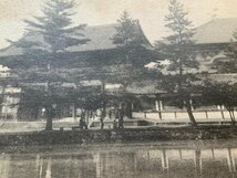 VV-1296 ■送料込■ 奈良県 東大寺 大仏殿 廻廊 人 建築物 建物 神社 寺 宗教 寺院 レトロ アンティーク 絵葉書 古葉書 写真 古写真/くNAら_画像5