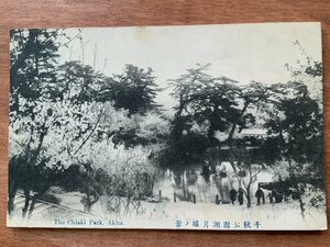 VV-1329 ■送料込■ 秋田県 秋田市 千秋公園 月堀の景 湖 人 花見 花 桜 池 庭園 風景 レトロ ●剥離有 絵葉書 古葉書 写真 古写真/くNAら