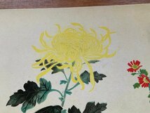 VV-1496 ■送料込■ 金島桂華筆 応徴戦士慰問絵葉書 草花 植物 花 絵 絵画 美術品 戦時 戦争 風景 景色 絵葉書 古葉書 写真 古写真/くNAら_画像3