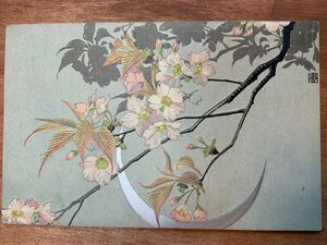 Art hand Auction VV-1614 ■免运费■ 鲜花春天樱花图片绘画艺术设计浮雕复古古董金沙多明信片老明信片照片老照片/Kunara, 印刷材料, 明信片, 明信片, 其他的