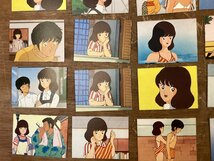 TT-2141 ■送料込■ タッチ 浅倉南 女の子 アニメ 漫画 トレーディングカード あだち充 小学館 レトロ 当時物 31枚●まとめて/くGOら_画像3