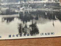 VV-1786 ■送料込■ 韓国 朝鮮 京城 奬忠壇公園 池 橋 庭園 造園 公園 風景 鳥 人 レトロ 舟 絵葉書 古葉書 写真 古写真/くNAら/くJYら_画像2