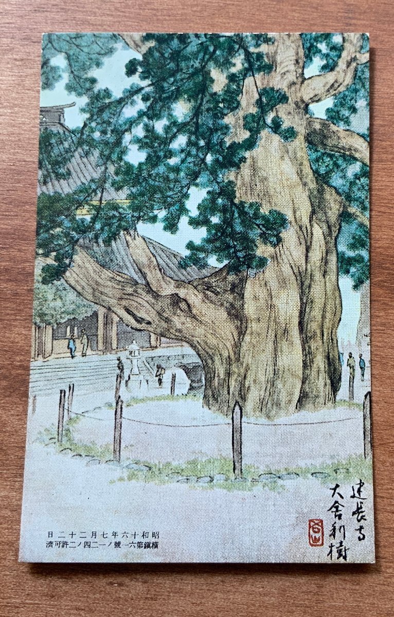 VV-1725 ■Shipping included■ Kanagawa Prefecture Inada Gozan Kenchoji Temple Large Relic Tree Sacred Tree Landscape Shrine Temple Religion Painting Painting Brush Sketch Postcard Old Postcard Photo Old Photo/KNA et al., printed matter, postcard, Postcard, others