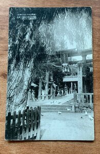 VV-1836 ■送料込■ 長野県 上田市 国幣中社 生島足島神社 鳥居 扁額 鳩 レトロ 風景 神社 寺 宗教 鳥 絵葉書 古葉書 写真 古写真/くNAら