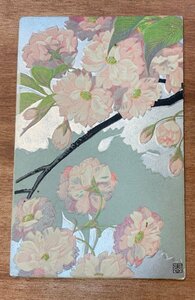 VV-1613 ■送料込■ 花 春 桜 絵 画 絵画 アート デザイン エンボス加工 レトロ アンティーク 金桜堂 絵葉書 古葉書 写真 古写真/くNAら