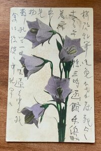 VV-1364 ■送料込■ 花 草花 明治38年 北海道 函館 消印 酒田 レトロ 菊切手 手紙 山形県 絵葉書 エンタイア 古葉書 写真 古写真/くNAら