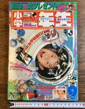 HH-7559■送料込■小学館 小学 二年生 1994年 9月 発行 星のカービィ 藤井みどり 玉井たけし 山口夏美 川崎のぼる /くFUら_画像1