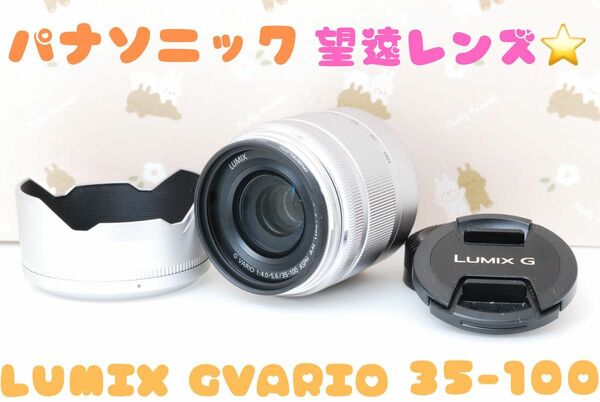 美品★panasonic LUMIX g vario 35-100mm ミラーレス一眼カメラ用★望遠ズームレンズ