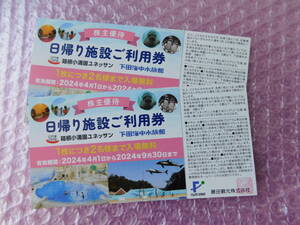 （最新）藤田観光 株主優待 日帰り施設ご利用券 2枚 2024年4月1日～2024年9月30日まで 箱根小涌園ユネッサン 下田海中水族館（送料込）