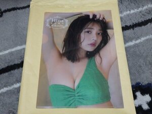 . ground .. green swimsuit *... magazine Young animal special appendix both sides clear file approximately B5 size new goods free shipping 