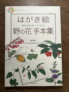 はがき絵野の花手本集: 身近な草花84種・原寸下絵付き (日貿アートライフシリーズ) 日貿出版社 増渕 澄子