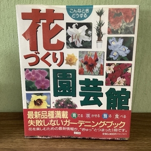 花づくり園芸館: こんなときどうする (小学館実用ムック)