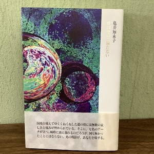 虹はゼロに満たない 書肆山田 亀井知永子