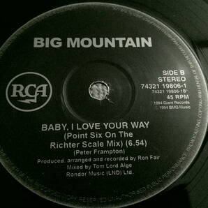 Reissue12' Big Mountain/Baby,I Love Your Way-Radio Versionの画像4