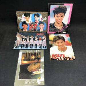 S674【5枚まとめ売り】下敷き 男闘呼組 成田昭次 CHACHA 木野正人 光genji 柴田恭兵 大沢樹生 長期保管品 昭和レトロ コレクション 現状品