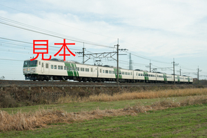 鉄道写真データ（JPEG）、00740222、ホリデー快速、鎌倉号（185系B6編成）、JR武蔵野線、東川口〜東浦和、2016.12.04、（7192×4800）