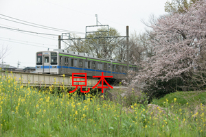 鉄道写真データ（JPEG）、00803591、10000系（16632F）、東武鉄道野田線、大和田〜大宮公園、2017.04.06、（7360×4912）