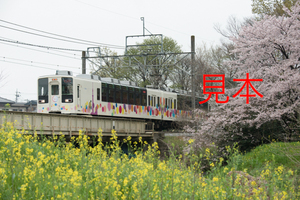 鉄道写真データ（JPEG）、00813711、回送スカイツリートレイン（634型）、東武鉄道野田線、大和田〜大宮公園、2017.04.08、（7360×4912）