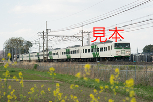 鉄道写真データ（JPEG）、000813785、185系（B6編成）団体臨時、JR東北本線、蓮田〜東大宮、2017.04.13、（7360×4912）